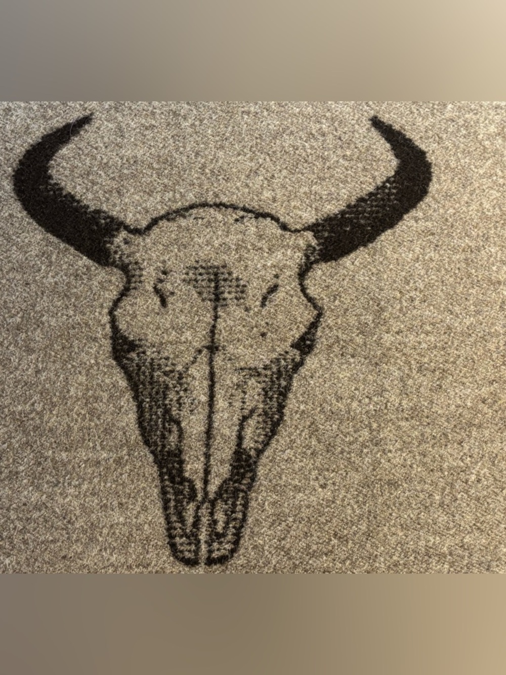 Pendleton 20”x20” Southwestern Longhorn Designed Reversible Accent Pillow - Picture 2 of 7